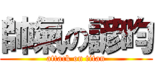 帥氣の諺昀 (attack on titan)
