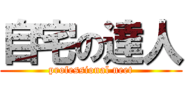 自宅の達人 (professional neet)
