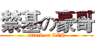 禁基の豪哥 (attack on LZH)