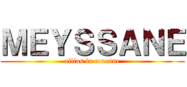 ＭＥＹＳＳＡＮＥ (allias la couenne)