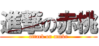 進撃の赤桃 (attack on mmkr)