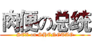 肉便の总统 (SEX on SHENGTAO)