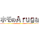 ホモのＡｒｕｇａ (gay)