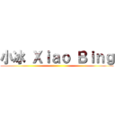 小冰 Ｘｉａｏ Ｂｉｎｇ ()