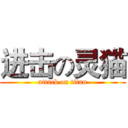 进击の灵猫 (attack on titan)