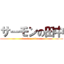 サーモンの田中 (tanaka  salmon)