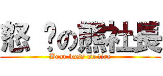 怒 擊の熊社長 (Bear boss on fire)