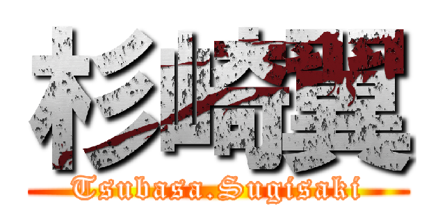 杉崎翼 (Tsubasa.Sugisaki)