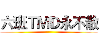 六班ＴＭＤ永不散 ()