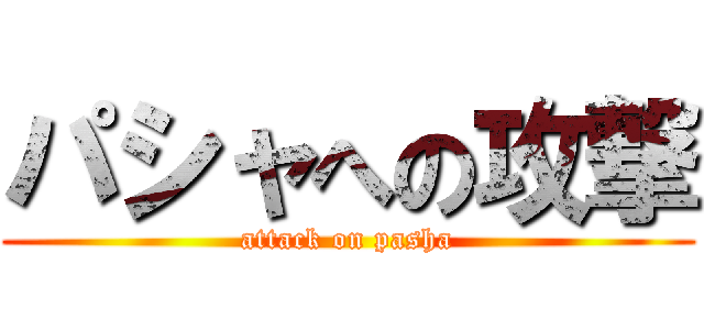 パシャへの攻撃 (attack on pasha)