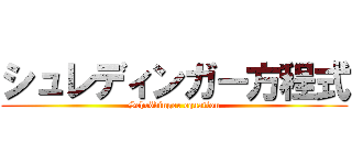 シュレディンガー方程式 (Schrödinger equation)