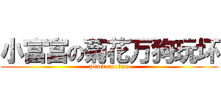小富富の菊花万狗玩坏 (attack on titan)