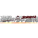 進撃の多肉植物 (attack on Succulents)