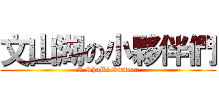 文山湖の小夥伴們 (A ShaBi Station)