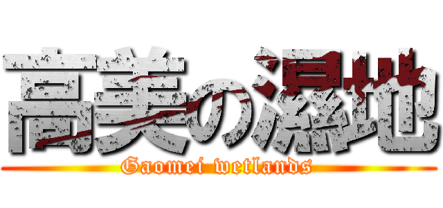 高美の濕地 (Gaomei wetlands)