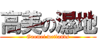 高美の濕地 (Gaomei wetlands)