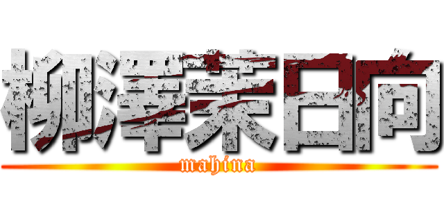 柳澤茉日向 (mahina)