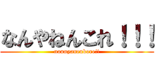 なんやねんこれ！！！ (nannyanenkore!!)
