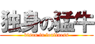 独身の猛牛 (bison in lonliness)