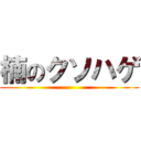 楠のクソハゲ ()