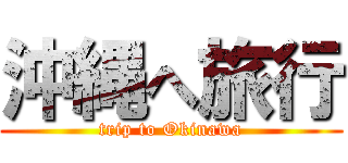 沖縄へ旅行 (trip to Okinawa)