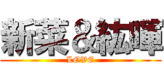 新菜＆紘暉 (LOVE)