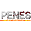 ＰＥＮＥＳ (PENES DUROS)