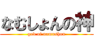 なむしょんの神 (god of namushon)