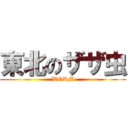 東北のザザ虫 (WORM)