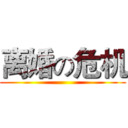 离婚の危机 ()