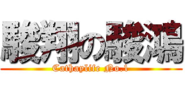 駿翔の駿鴻 (Cathaylife No.1)