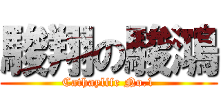 駿翔の駿鴻 (Cathaylife No.1)