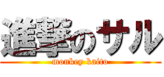 進撃のサル (monkey kaito)