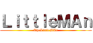 ＬｉｔｔｌｅＭＡｎ (TheLittleMAn)