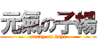 元氣の子楊 (sunny on kohi)