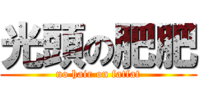 光頭の肥肥 (no hair on fatfat)