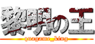 黎明の王 (quagame_king)