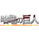 哈龜の巨人 (attack on titan)