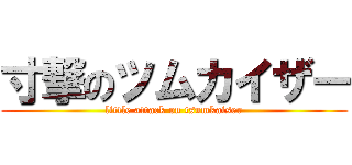 寸撃のツムカイザー (little attack on tsumkaiser)