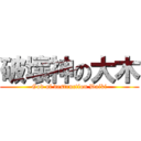 破壞神の大木 (God of destruction Daiki)