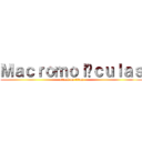 Ｍａｃｒｏｍｏｌéｃｕｌａｓ (attack on titan)