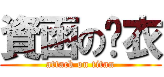 資函の內衣 (attack on titan)