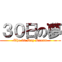 ３０日の夢 (The 30 Day Dream)