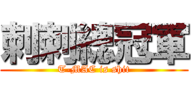 刺刺總冠軍 (T-MAC is shit)