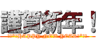 謹賀新年！ (ॱ॰*❅HAPPY NEW YEAR❅*॰ॱ)