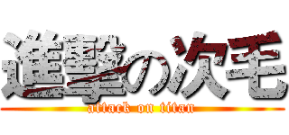 進擊の次毛 (attack on titan)