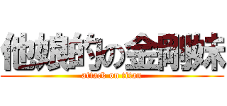 他娘的の金剛妹 (attack on titan)