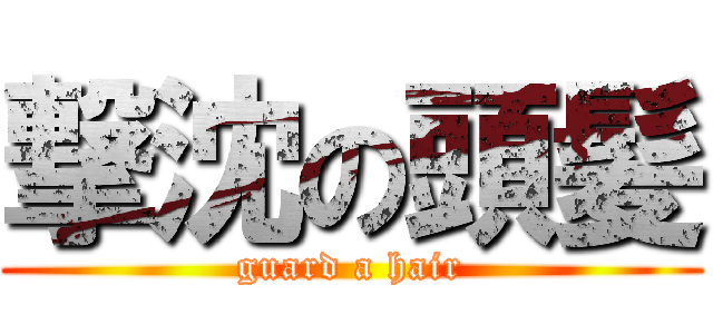 撃沈の頭髪 (guard a hair)