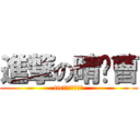 進撃の晴芷曹 (ttc大大大大大好人)