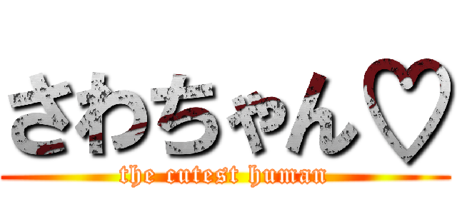 さわちゃん♡ (the cutest human)